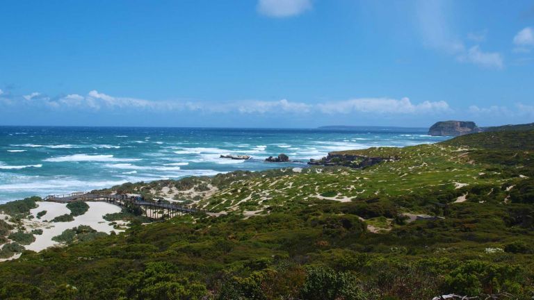 Photo by RE Walsh on Unsplash. Seal Bay SA, Australia