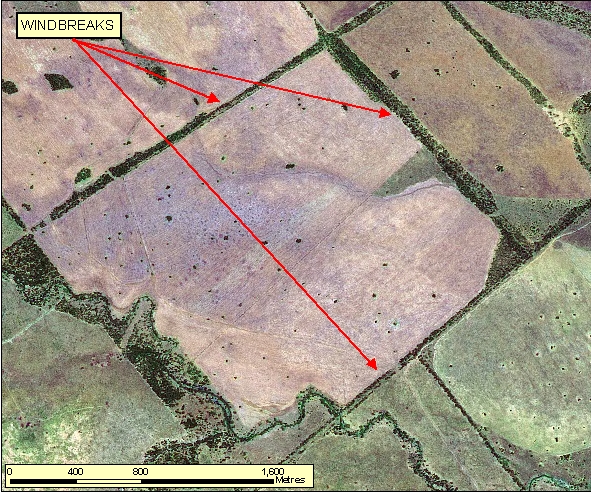 Figure: 2.5.4.1 SPOT Pseudo-natural 2.5m