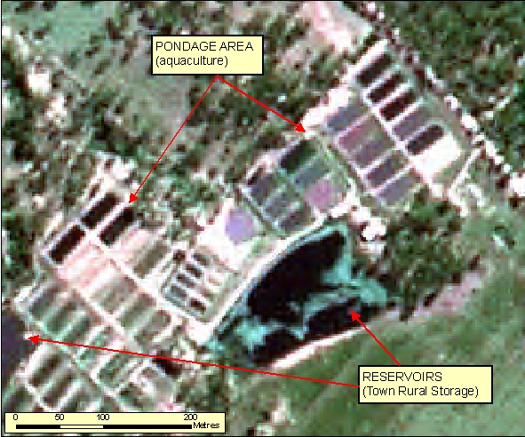 Figure: 2.3.3.1b SPOT Pseudo-natural 2.5m