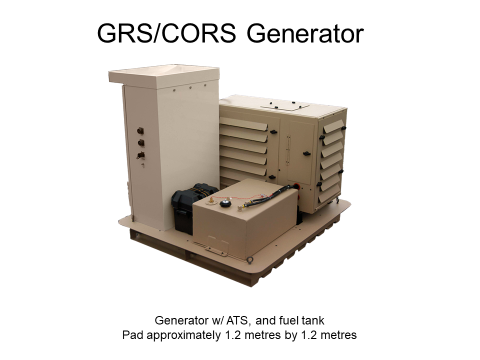Generator with fuel tank